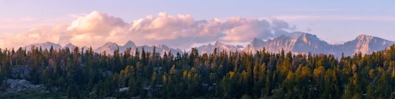 Fundraising Header image