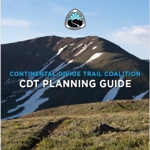 CDT Planning Guide - Digital Download